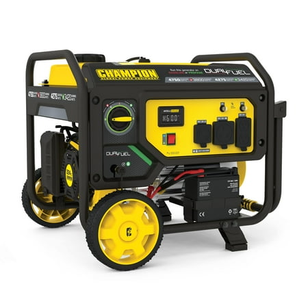 

Champion 3800-Watt Electric Start Dual Fuel RV Ready Portable Generator