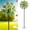 C-green Peacock, variant on Large Outdoor Metal Wind Spinner, 360° Dual-Direction Kinetic Yard Art, Two-Way Wind Sculpture for Patio Lawn Garden – 63 x 13.4 Inches