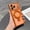 Orange, variant on for iPhone 16 Pro Plating Magnetic Ring Kickstand Straight Edge Matte Case with Lens Protector, Compatible with MagSafe, Protective Ultra Slim Clear Back Cover for iPhone 16 Pro, Orange