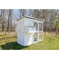 thumbnail image 4 of Zylina Modern Walk-In Hen House - Chicken Coop, 4 of 9