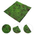 thumbnail image 3 of MOVTOTOP Artificial Moss Turf Simulation Moss Grass Lifelike Green Plants Decor Micro Landscape Moss Turf, 3 of 7