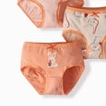 thumbnail image 3 of Eczipvz Little Girls Underwear Girls Cotton Underwear Teen Comfortable Panties Orange 3-4 Years, 3 of 4