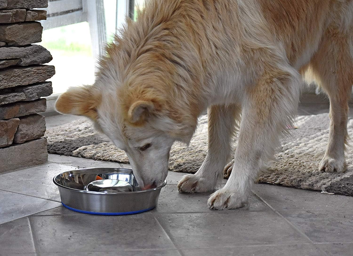 OurPet's Durapet Slow Feed Premium Stainless Steel Dog Bowl, Silver, Large (2040010302)