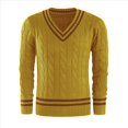 thumbnail image 2 of Suéter de Cuello en V para Hombre, Informal, de Punto , Ajustado, de Larga, para Otoño e Invierno. Amarillo Jengibre M, 2 of 5