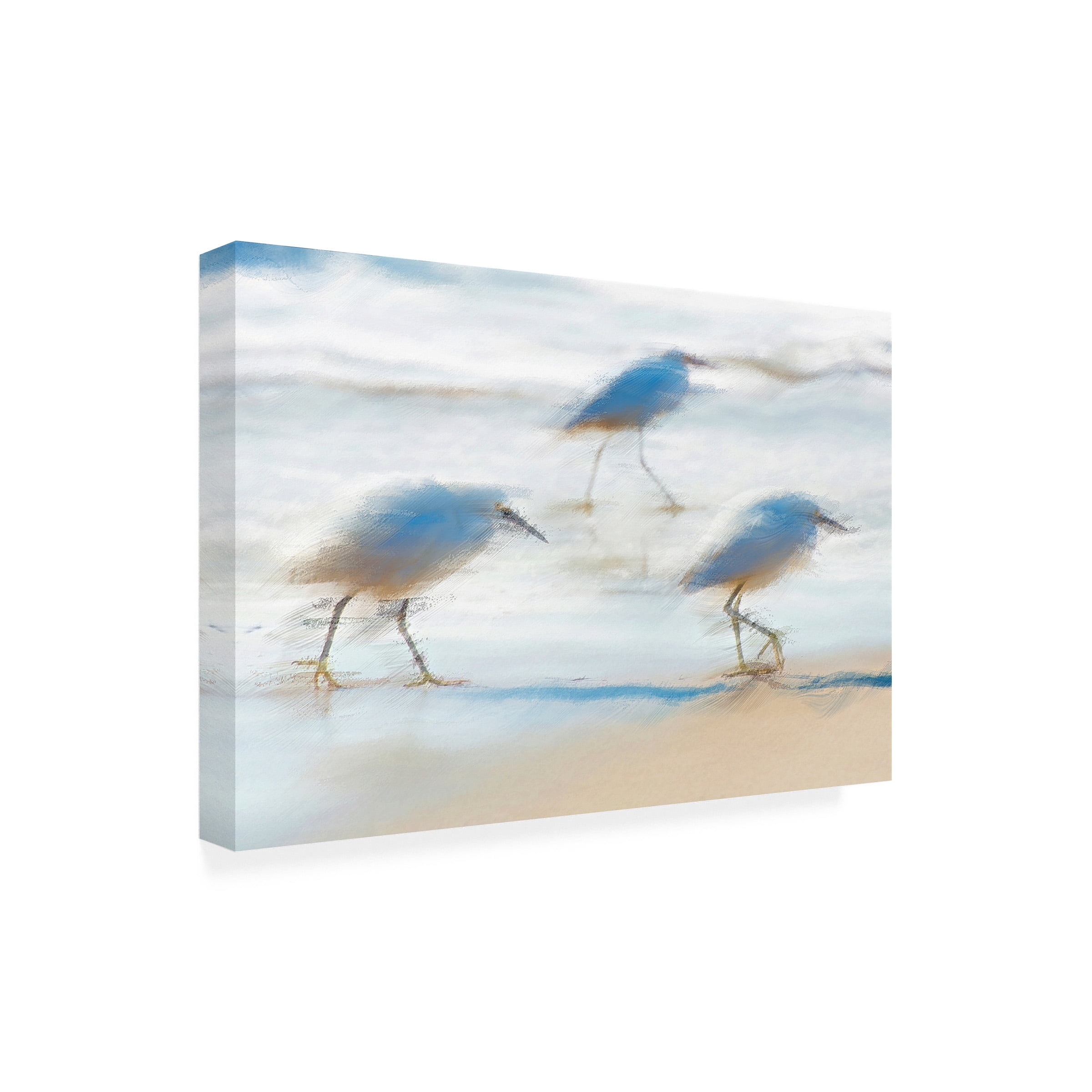 David Manlove 'Pipers on a beach A' Canvas Art