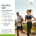 thumbnail image 3 of Terry Naturally BosMed 500 Extra Strength - 120 Softgels (Pack of 2), 3 of 7
