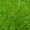 Green#1, variant on Garden Accessories Outsunny 6' Metal Arch Backyard Garden Bridge, Safety Siderails, Arc Footbridge for Backyard Creek, Stream, Pond, Bronze,Garden Decorative Accessories
