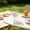 A, variant on Glass Tilted Dessert Cup Clear Ice Cream Bowl Parfait Candy Serving Party