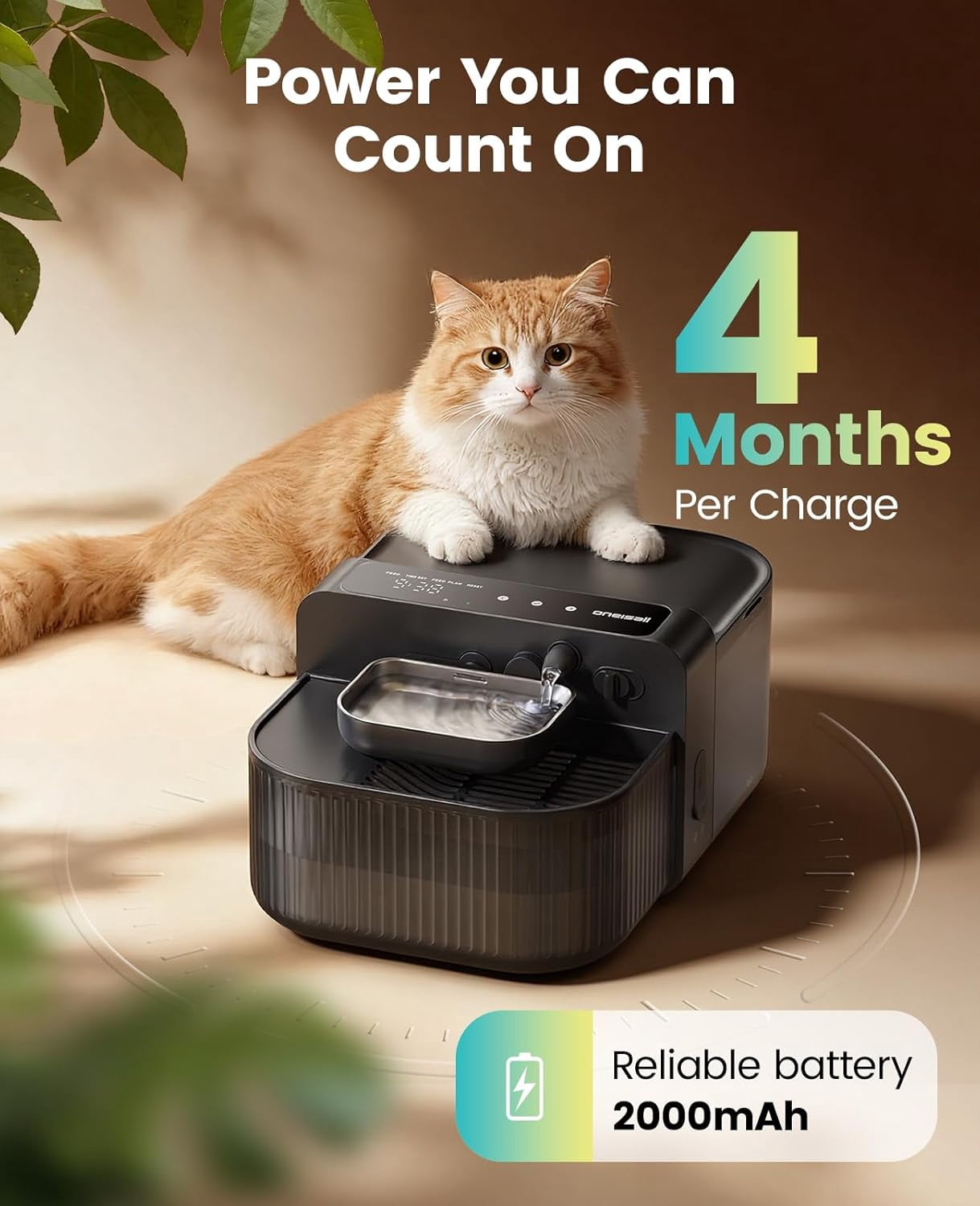 Wireless Filterless Cat Water Fountain, Separate Clean and Dirty Water Pet Fountain with Stainless Steel Bowl, 3.5L/118oz Quiet No Filter Smart Automatic Cat Water Dispenser Indoor, Black