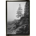 thumbnail image 2 of DeNardo, Laura 17x24 White Modern Wood Framed Museum Art Print Titled - Lone Tree, 2 of 4