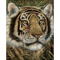 thumbnail image 2 of Manning, Ruane 26x32 Gold Ornate Wood Framed with Double Matting Museum Art Print Titled - Shadow in Night, 2 of 4