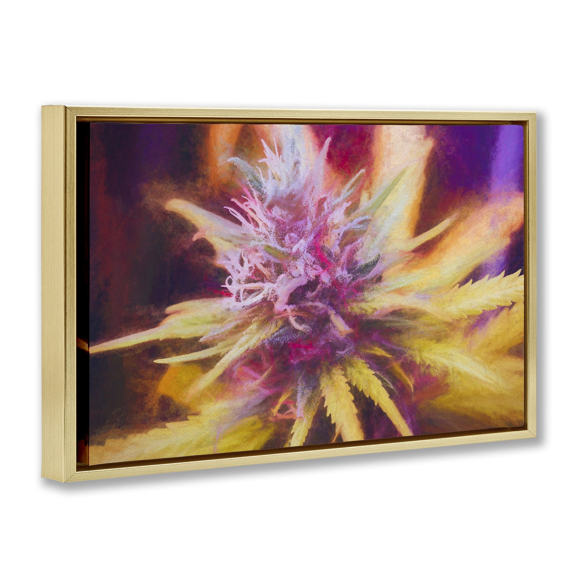 Stupell Industries Chalk Cannabis Flower Plants & Flowers Painting Gold Floater Framed Canvas Art Print Wall Art, 25 x 17