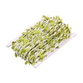 thumbnail image 2 of Guirnalda de hojas de follaje de cinta de hojas para decoraciones de aulas Blanco 20m Zulema Hilo de hoja verde trenzado, 2 of 8