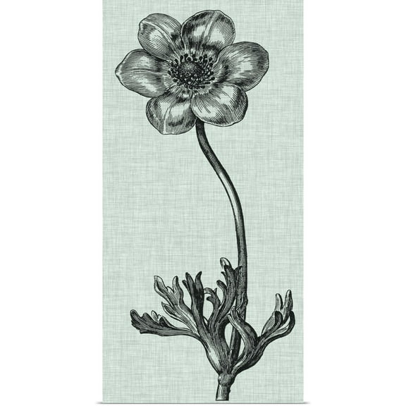 Great BIG Canvas | Rolled Vision Studio Poster Print entitled Celadon Beauty IV