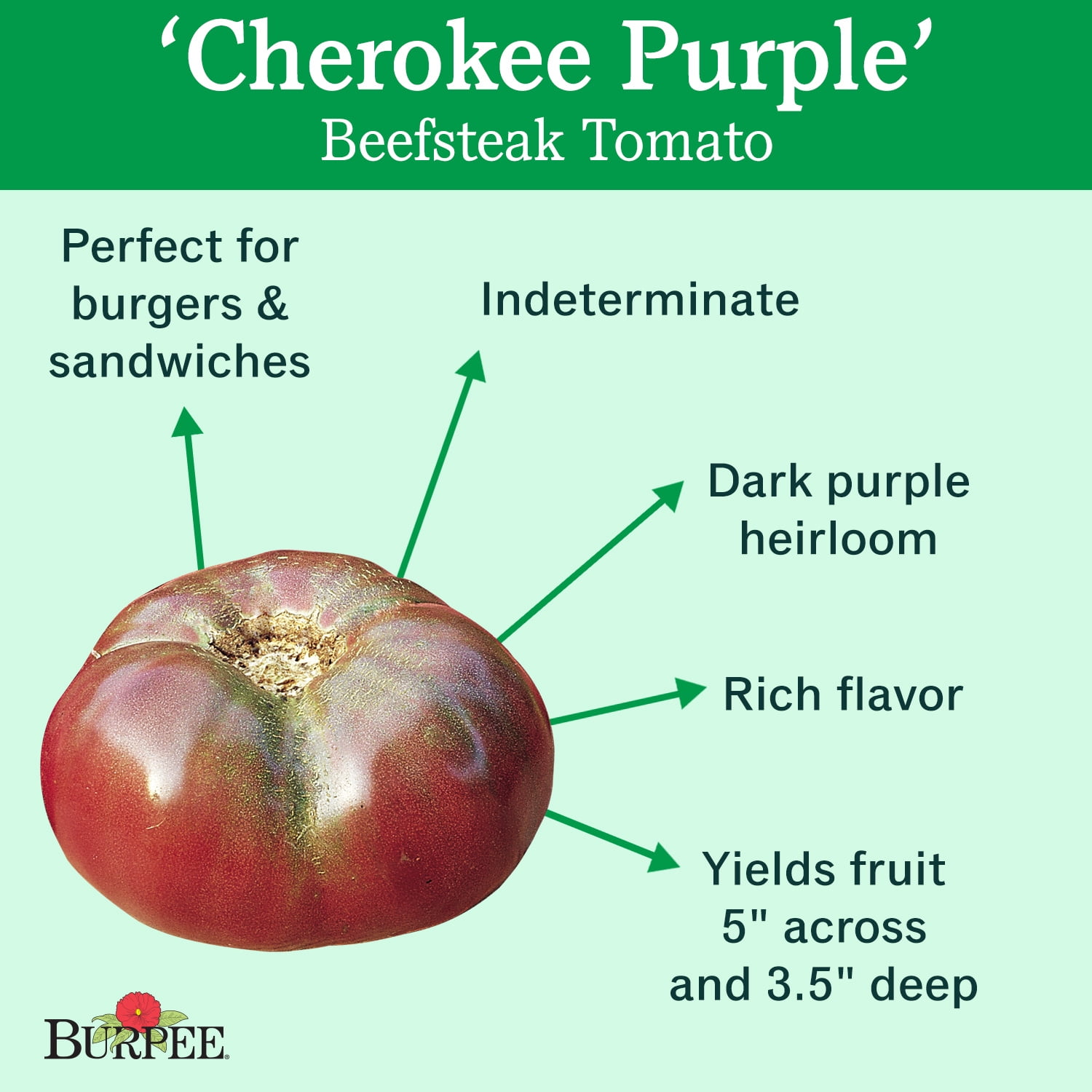 Burpee Cherokee Purple Tomato Vegetable Seed