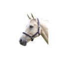 thumbnail image 1 of Wessex - Cabezada de Caballos (Marino), 1 of 2