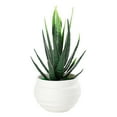 thumbnail image 2 of (Aloe Vera Potted Plant) Simulation Green Plant Potted Plant Simulation Succulent Small Bonsai Simulation Green Radish Potted Plant Fake Flower Potted Plant Small Ornament, 2 of 14