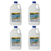 Champion Muriatic Acid for Swimming Pools & Spas - Lower's pH/pH Reducer for Pool Water Balancing - 4 Gallon
