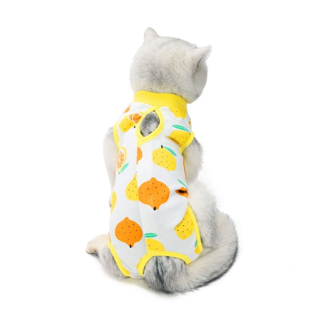 Ropa quirúrgica para gatos Ropa de esterilización para gatas Ropa de destete Ropa para gatos de cuatro patas Ropa de esterilización fina y transpirable para gatos de verano