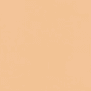 Warm Beige