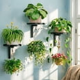 thumbnail image 4 of Komiseup 2 In 1 Ultimate Wall Mounted Plants Stan Space Saving Metal Material, 4 of 9