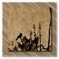 thumbnail image 2 of All My Walls 0088ME00008 Out On A Limb Wall Decor, Multicolored - Medium, 2 of 2