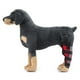 thumbnail image 2 of idealsgarden Dog Leg Brace Support Protector Ajustable Hock Joint Wrap Suministros Rojo Zulema Protector de ortesis de codo de pierna, 2 of 8