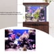 thumbnail image 4 of Posterfor Fish Tank,Póster adhesivo con efecto Coral D, póster de coral meticulosamente diseñado, 4 of 8