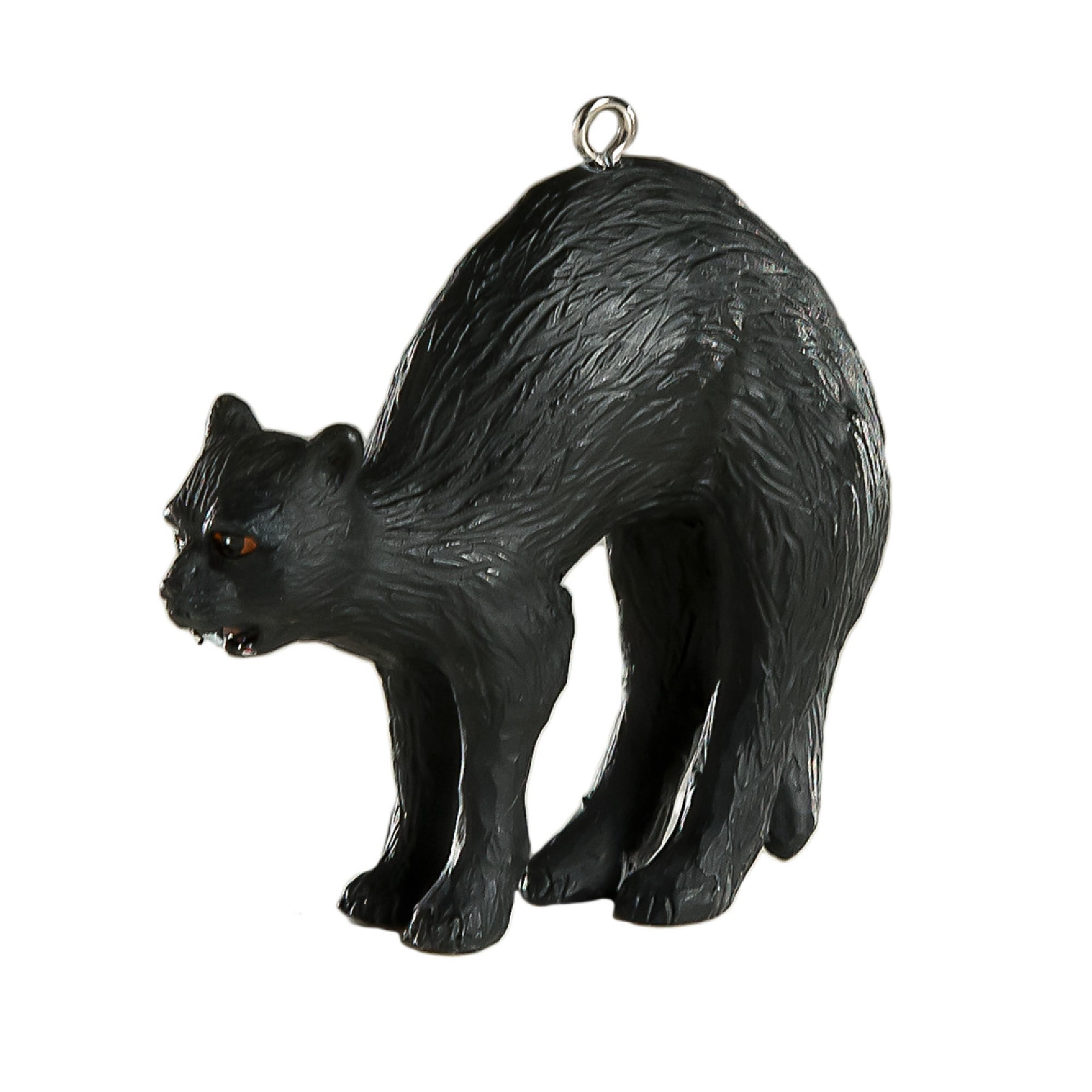 black cat hiss black cat hiss