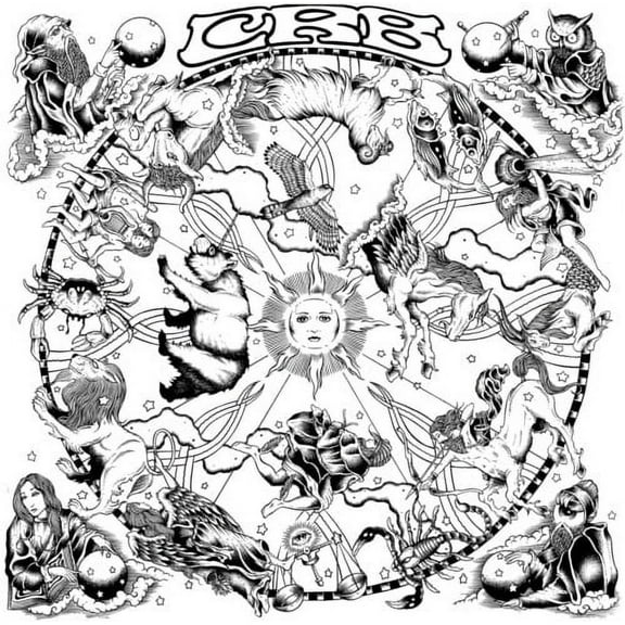 The Chris Robinson Brotherhood - The Magic Door - Rock - CD