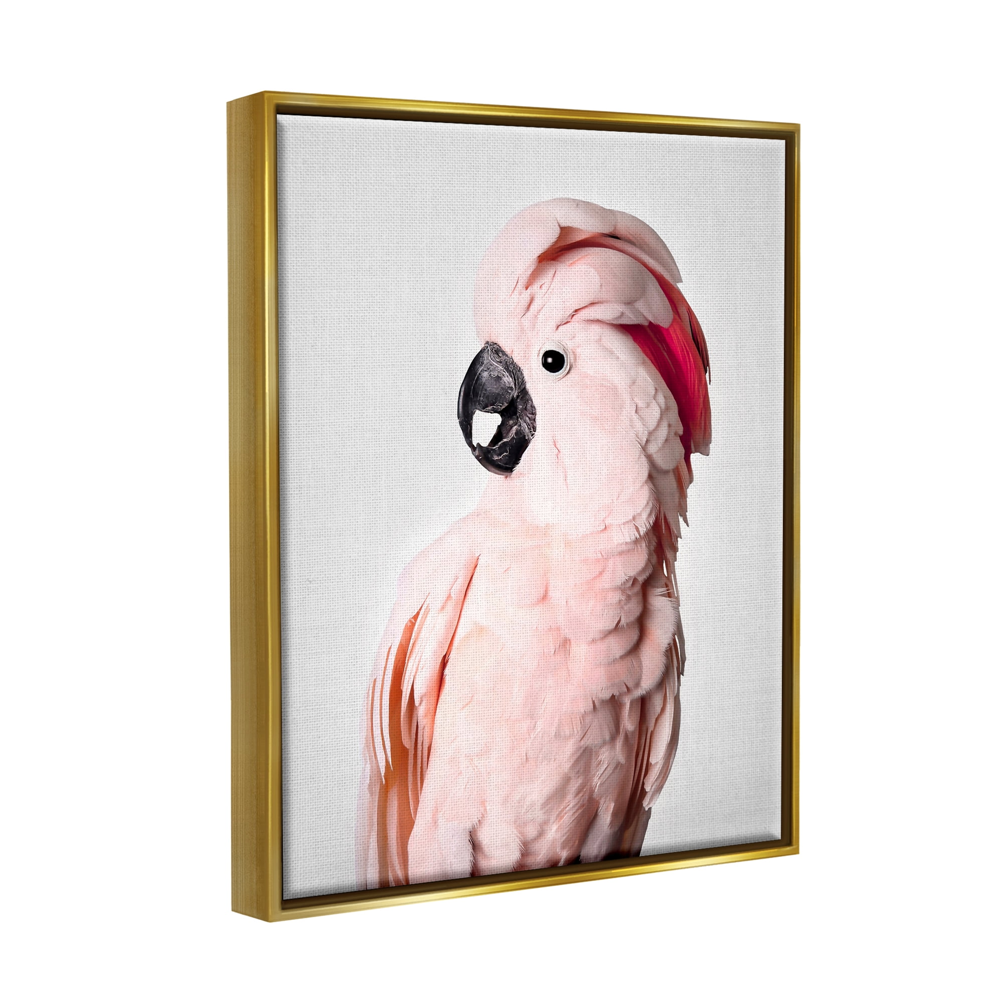 Stupell Industries Pink Cockatoo Photography Animals & Insects Photography Gold Floater Framed Art Print Wall Art, 17 x 21