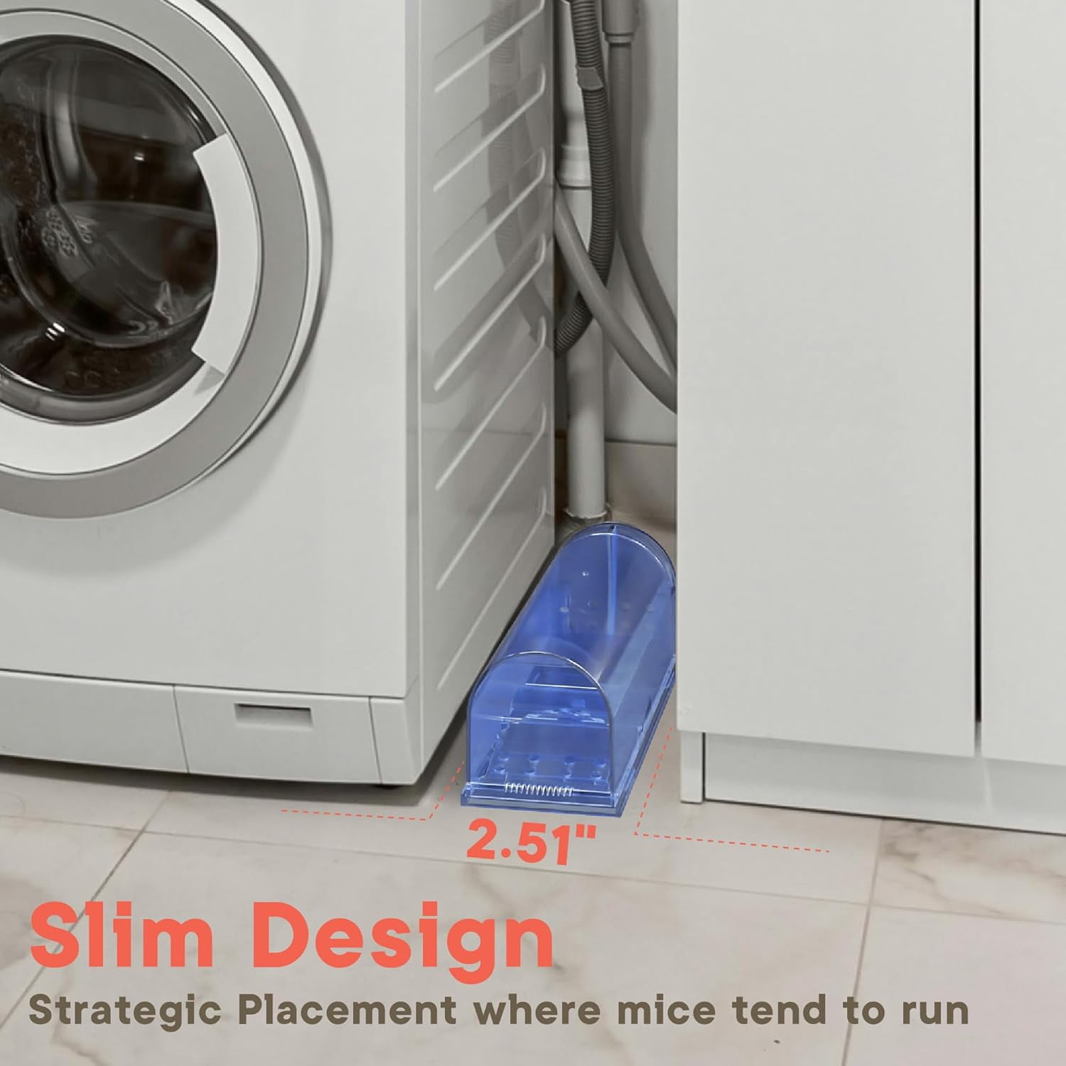 Campior Humane Mouse Trap, Pack of 6, Live Catch & Release for Indoors & Outdoors, Plastic Mouse Cage with Spring Door & Cleaning Brush, Blue