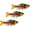 3 PCS B, variant on Jointed Propeller Tail Fishing Lure for Bass Pike Walleye Freshwater3 PCS A