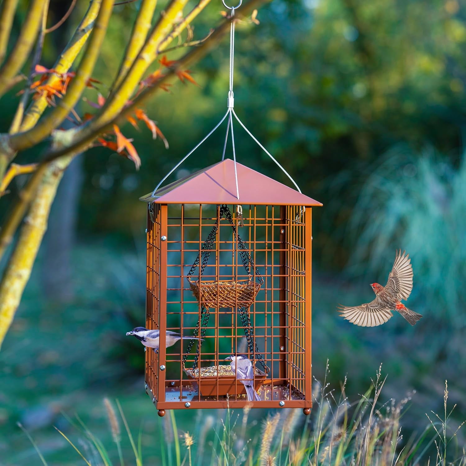 Bird Feeders for Bluebirds - Metal - Huge Caged Squirrel-Proof Bird Feeders with 2 Cups, DIY Wild Bird Feeders Outdoor Hanging (Brown), Attract Wild Birds, 2lbs Seed Capacity+1  Cup