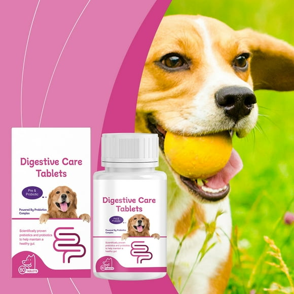 Pets Organic Probiotics for Dogs, Chewable Dog Probiotic Supplement Tablets, Dog Probiotic Supplement, Improve Intestinal Health and Promote Digestion and Absorption