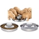 thumbnail image 1 of Cuenco para perros de acero inoxidable, 2 areneros para cachorros, comida para destete, plateado, juego de 2 cuencos para perros de acero inoxidable, 29 cm, para perros pequeños, medianos y grandes,, 1 of 8