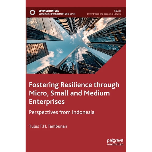 Sustainable Development Goals Fostering Resilience Through Micro, Small and Medium Enterprises: Perspectives from Indonesia, (Hardcover)