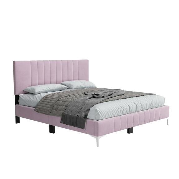 Dean Upholstered Velvet Queen Size Bed in Pink with Silver Metal Legs