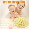thumbnail image 6 of BETTERLIFE Exfoliating Foam Sea Sponge Natural Feeling Bath Sponge Honeycomb Spong New V5 Q8R6, 6 of 9