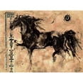 thumbnail image 3 of Wiley, Marta 14x11 Black Modern Framed Museum Art Print Titled - Lepa Zena XXIII, 3 of 5