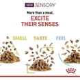 thumbnail image 6 of Royal Canin Sensory Taste Dog Wet Food 12x85g Jelly, 6 of 9