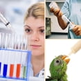 thumbnail image 6 of 20PCS 10ml/cc Plastic Syringe Without Needle,Individually Sealed,Suitable for Scientific Labs,Measuring,Watering,Refilling,Oil or Glue Applicator,Feeding Pets,Medical Student, 6 of 6