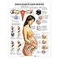 thumbnail image 3 of Pregnancy and Birth, 3 of 3