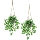 thumbnail image 1 of Tnntopele Plantas Colgantes Falsas Con Macetas, Paquete De 2 Plantas Artificiales De Hoja De Anturio Artificial, Cesta Colgante Para Pared, Hogar, Habitación, Decoración Interior Y Exterior, 1 of 9