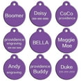 thumbnail image 3 of Beirui 20pcs/lot Bulk Personalised Dog ID Tags Aluminum Blank Round Disc for Pet Collar No Engraving, 3 of 6