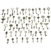 LELINTA 15-69Pcs Jewelry Making Charms Craft keys Decorative Key Skeleton Bronze Key in Antique Bronze Style for Wedding Graduation