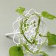 thumbnail image 5 of Flower Arrangement Spiraled Helper Handheld Bouquet Stems Holders Tool, 5 of 6