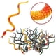 thumbnail image 2 of Rubber Snake Colorful Fake Snake Toys Halloween Party Decorations Prank Toys - 24 Pieces, 2 of 5
