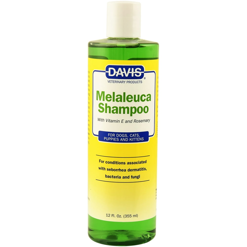 Davis Melaleuca Shampoo, 12 oz