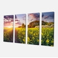 thumbnail image 2 of Fantastic Yellow Field at Sunset - Large Landscape Canvas Art Print, 2 of 3